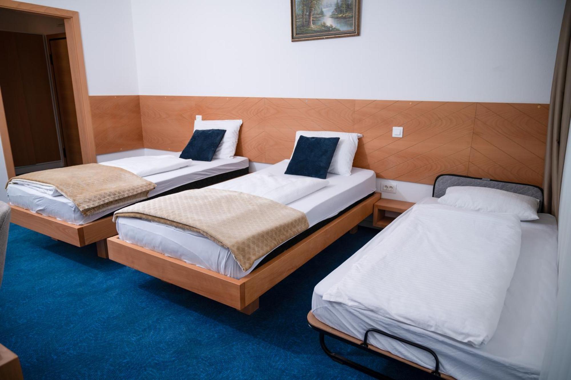 Hotel Borovi Forest Resort & Spa Sjenica Extérieur photo